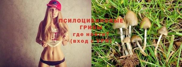круглые Балахна