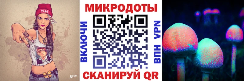МЕГА зеркало  Ногинск  Галлюциногенные грибы Cubensis 