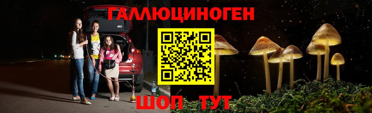 Галлюциногенные грибы GOLDEN TEACHER Ногинск